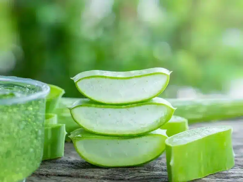 aloe vera gel