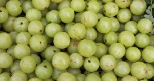 amla