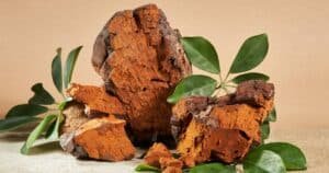 chaga mushroom benefits for skin