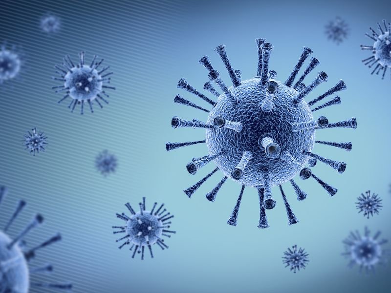 viruses